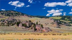 Der Yellowstone-Nationalpark hat Geburtstag!