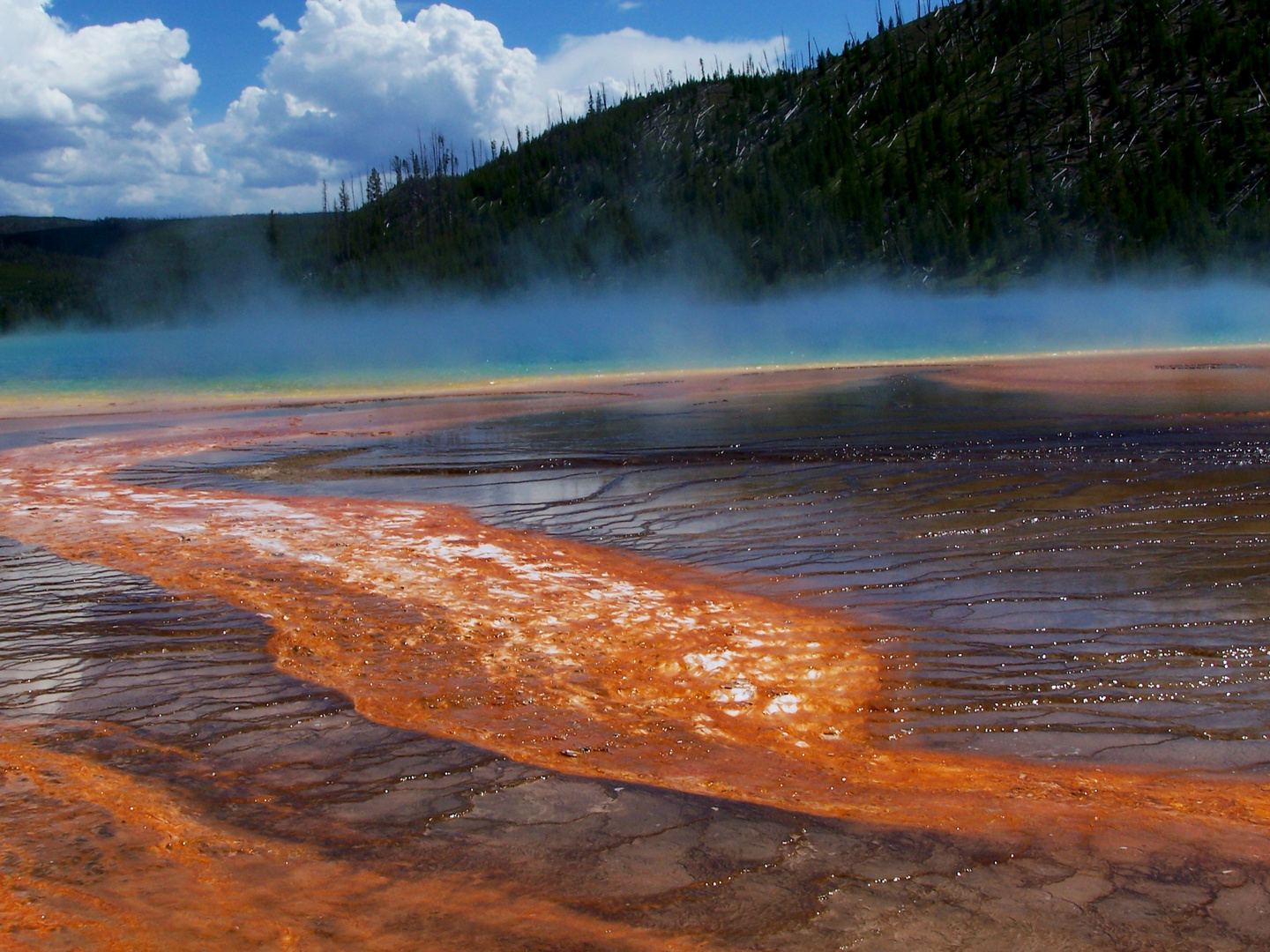 Der Yellowstone N.P.