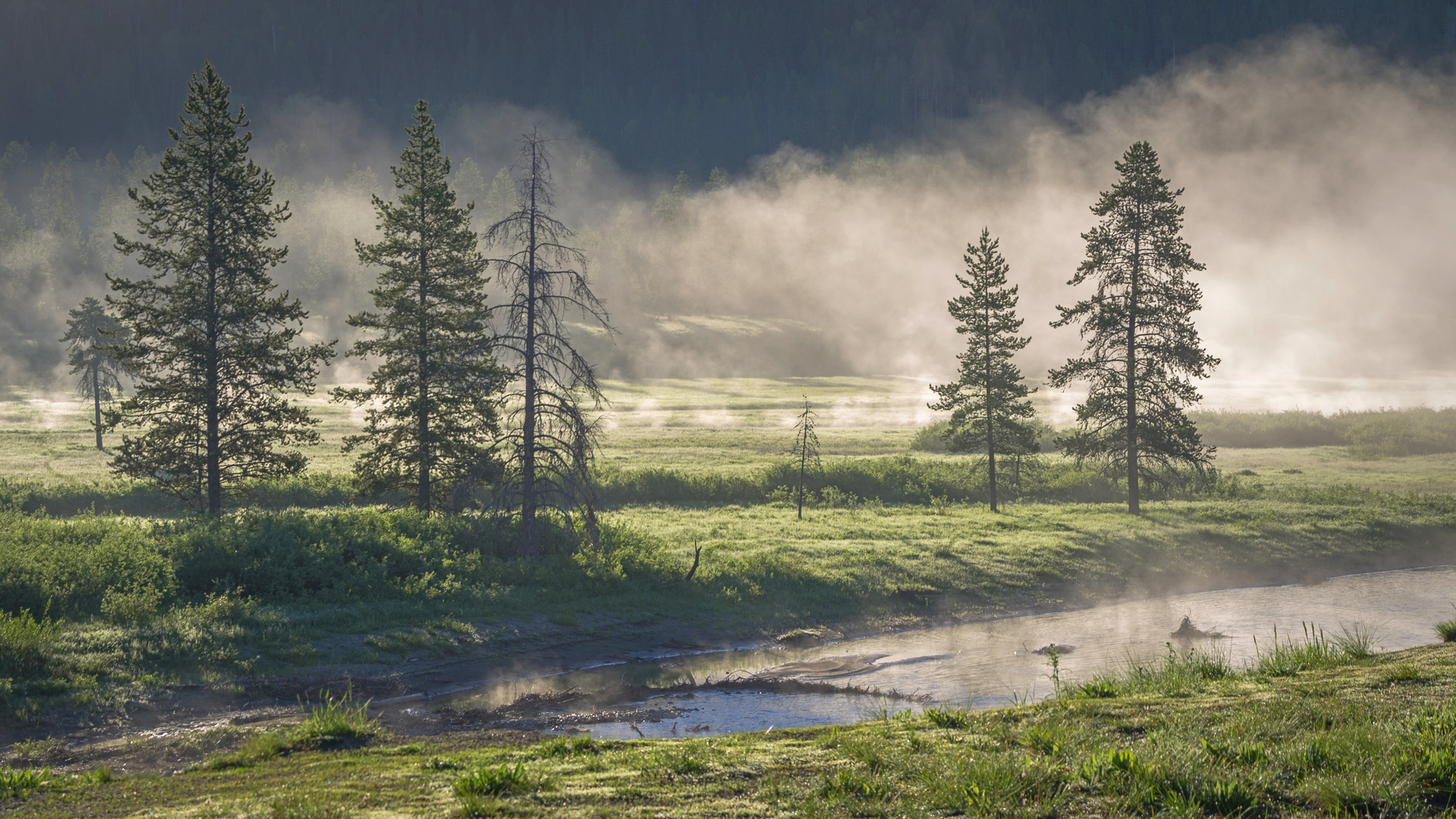 Der Yellowstone N.P. kommt näher - es wird kühler