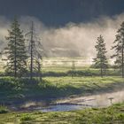 Der Yellowstone N.P. kommt näher - es wird kühler