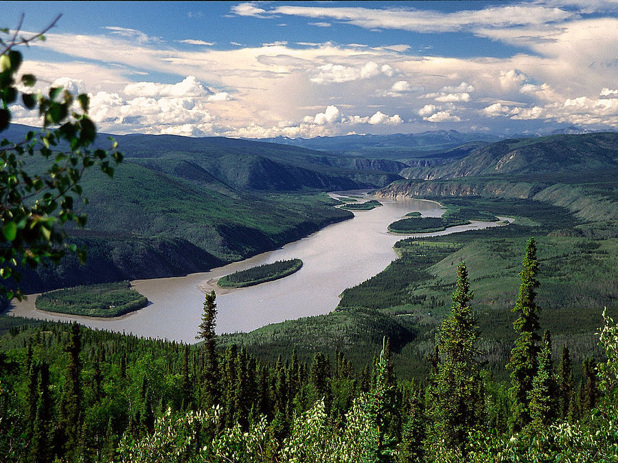 Der Yukon bei Dawson City