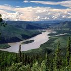 Der Yukon bei Dawson City