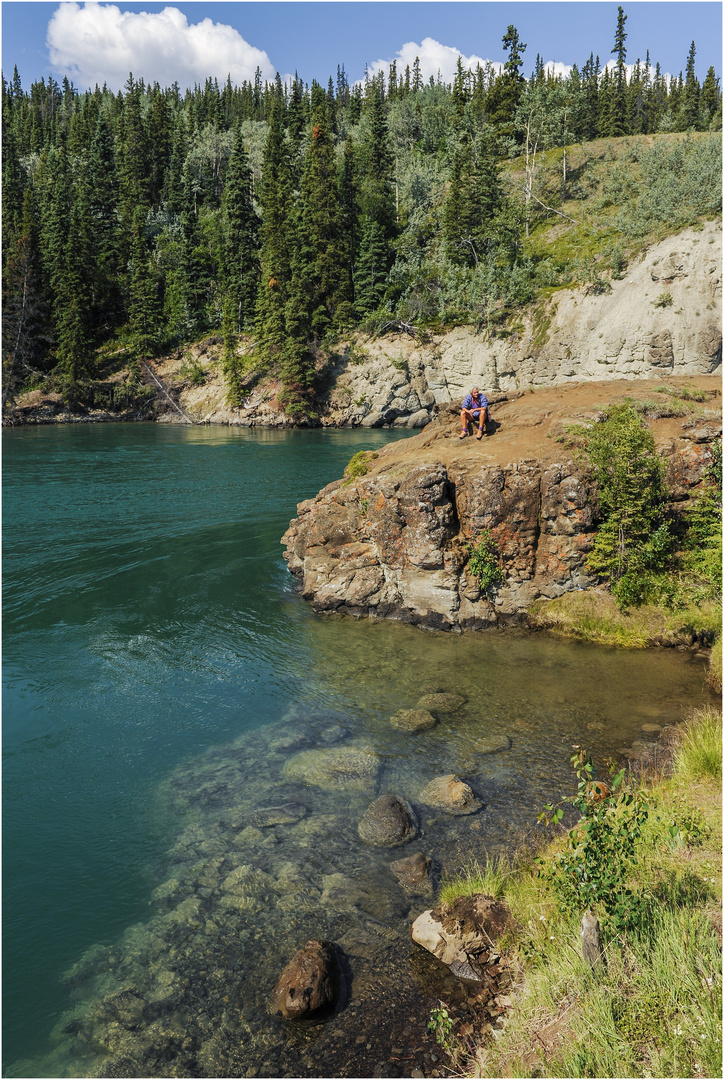 "Der Yukon River" - kurz hinter Whitehorse