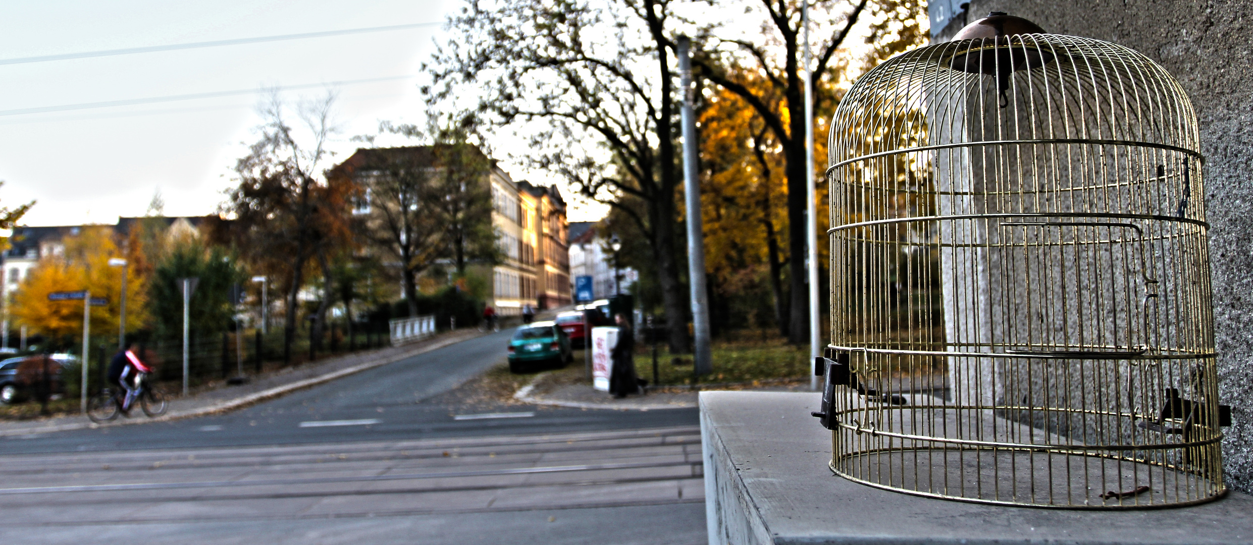 Der zahme Vogel singt von Freiheit,der wilde Vogel fliegt: