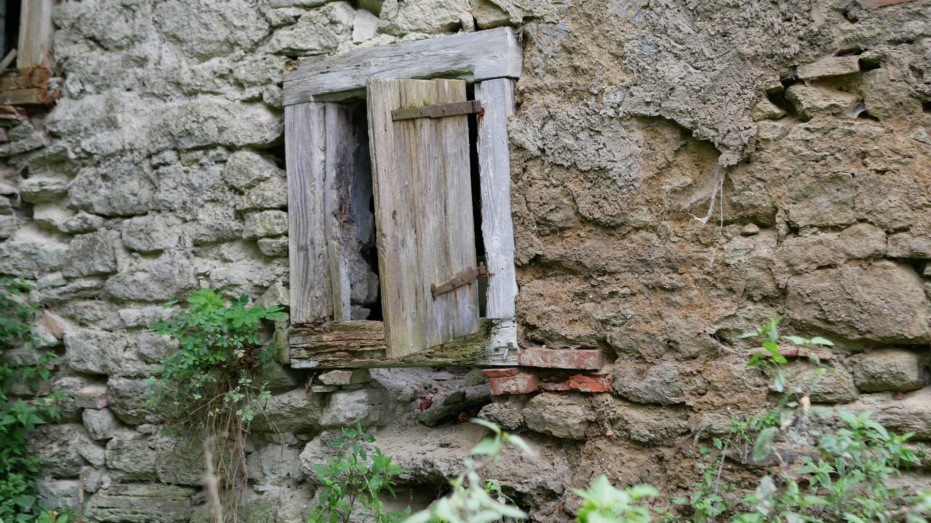 der Zahn der Zeit,, Natur ist doch stärker