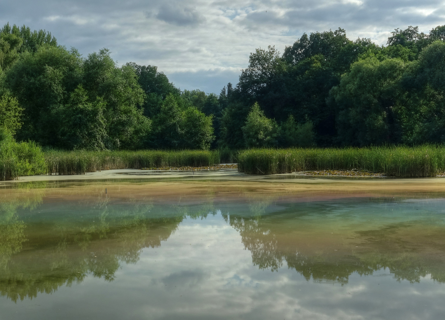 Der Zanderteich treibt es bunt IV