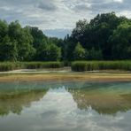 Der Zanderteich treibt es bunt IV