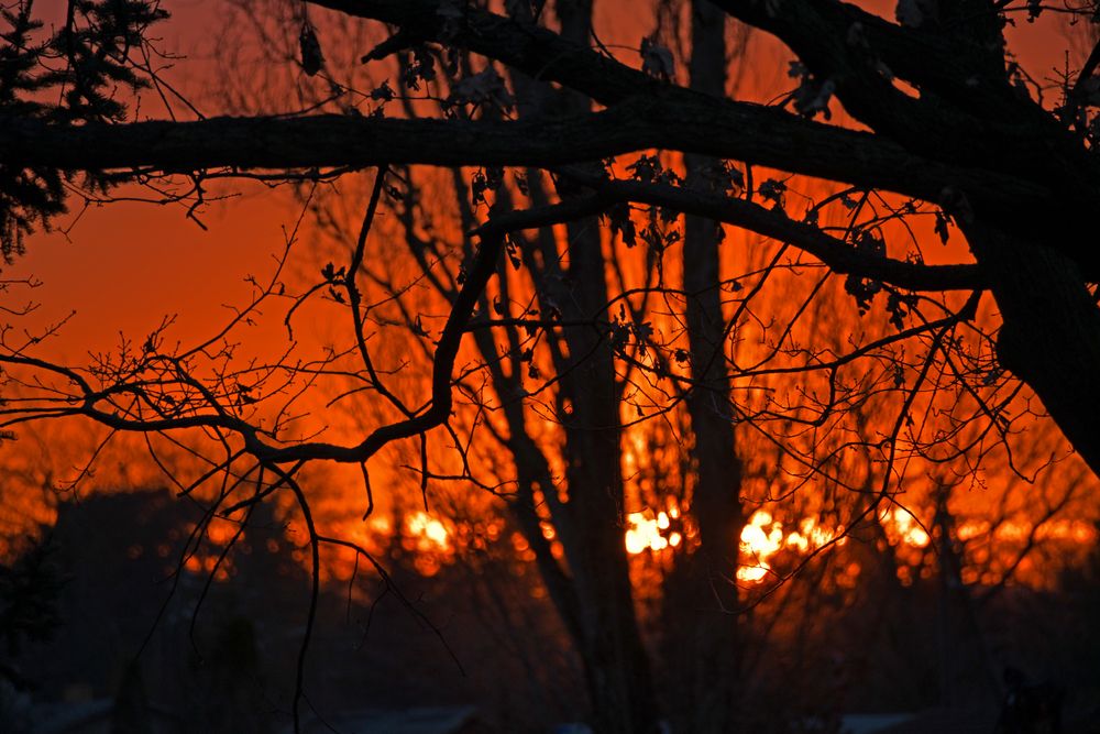 Der "Zauber" der Abendsonne