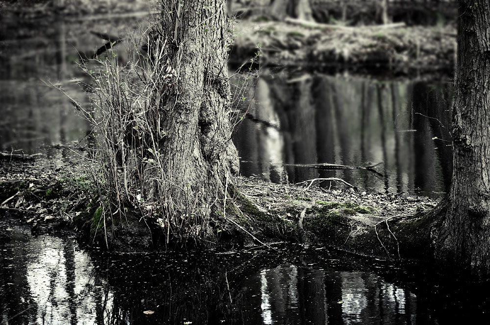 Der Zauber der Stille