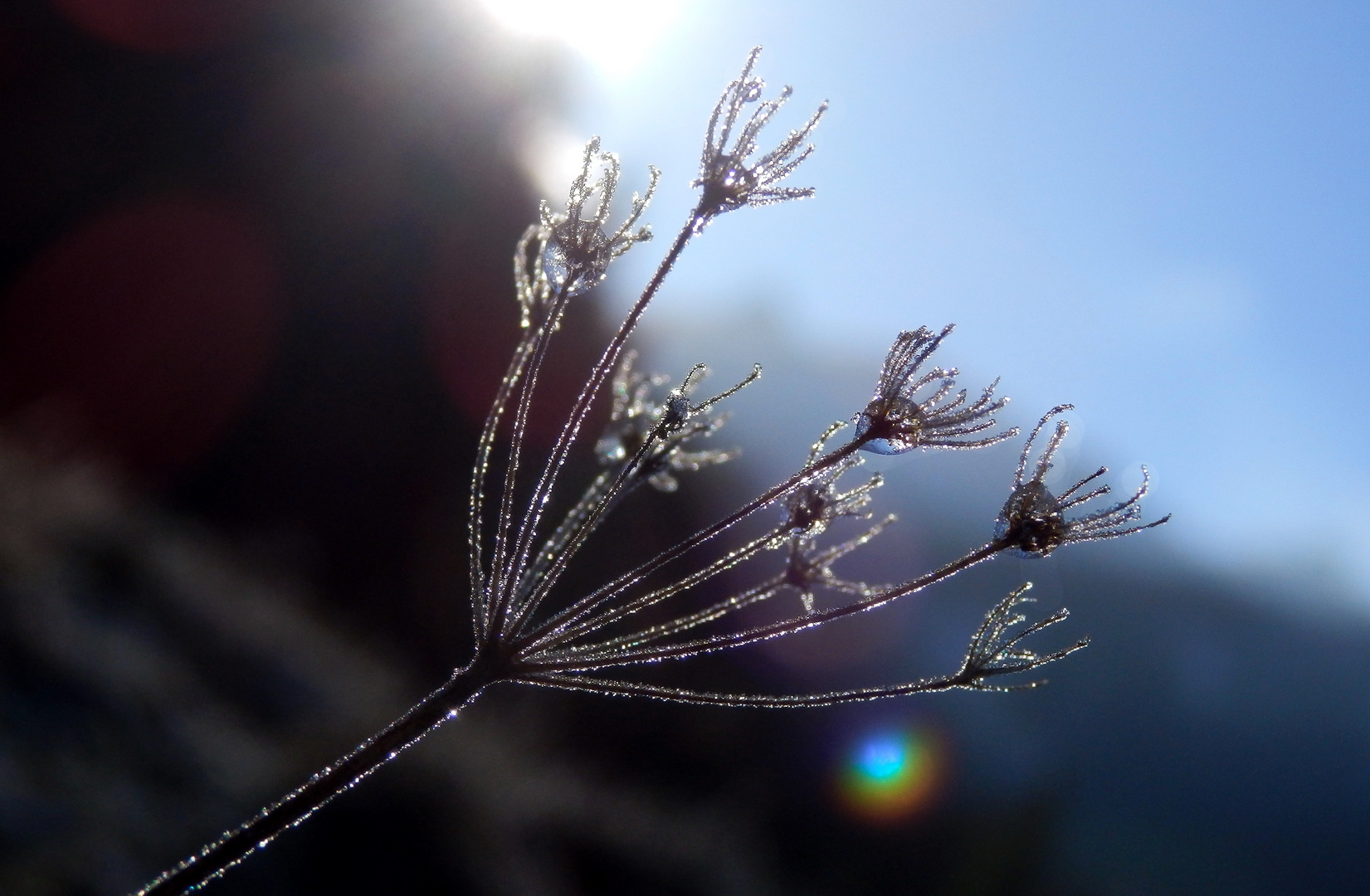 Der Zauber der Wintersonne ...