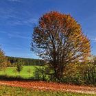 Der Zauber des Herbstes