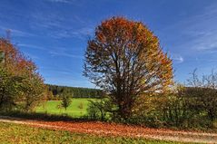 Der Zauber des Herbstes