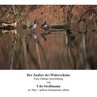 Der Zauber des Widerscheins