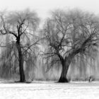 Der Zauber des Winters