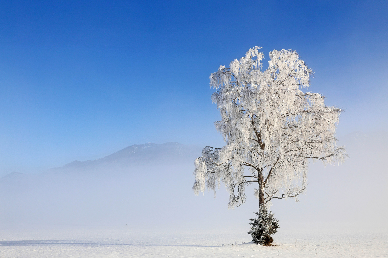 Der Zauber des Winters...