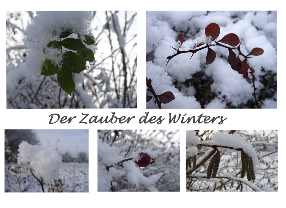 Der zauber des Winters