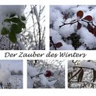 Der zauber des Winters