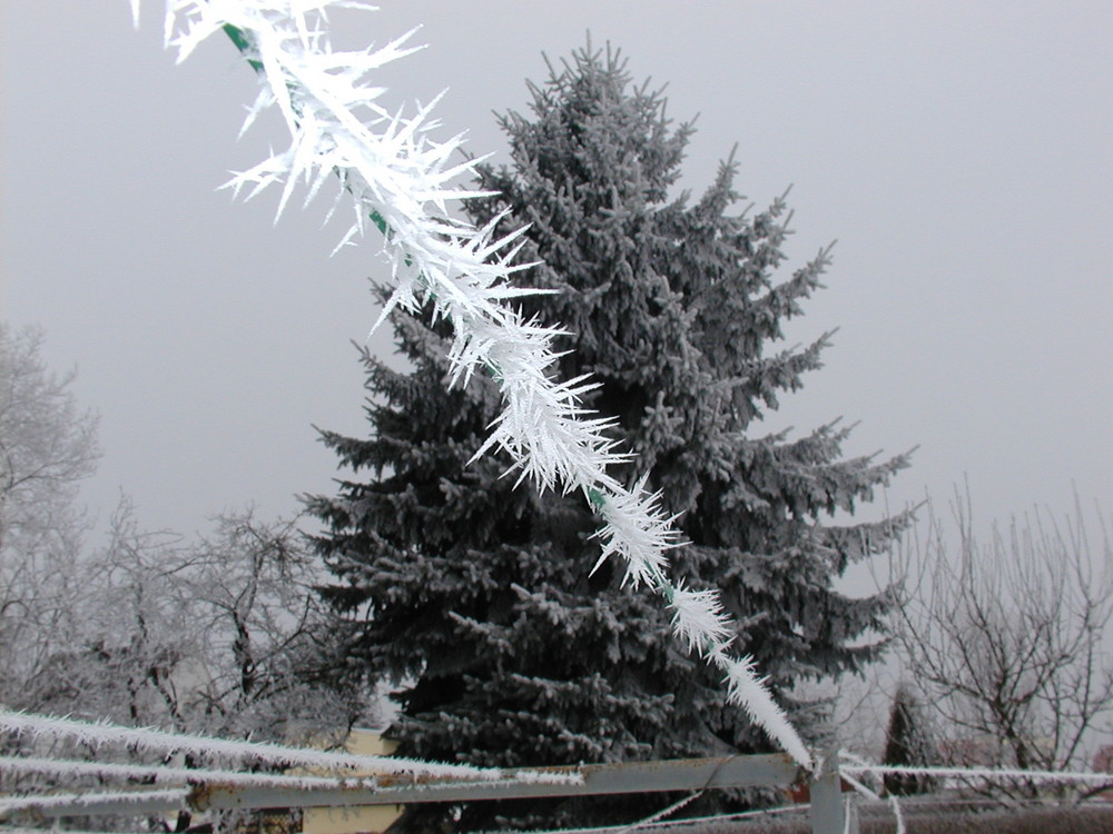 Der Zauber des Winters