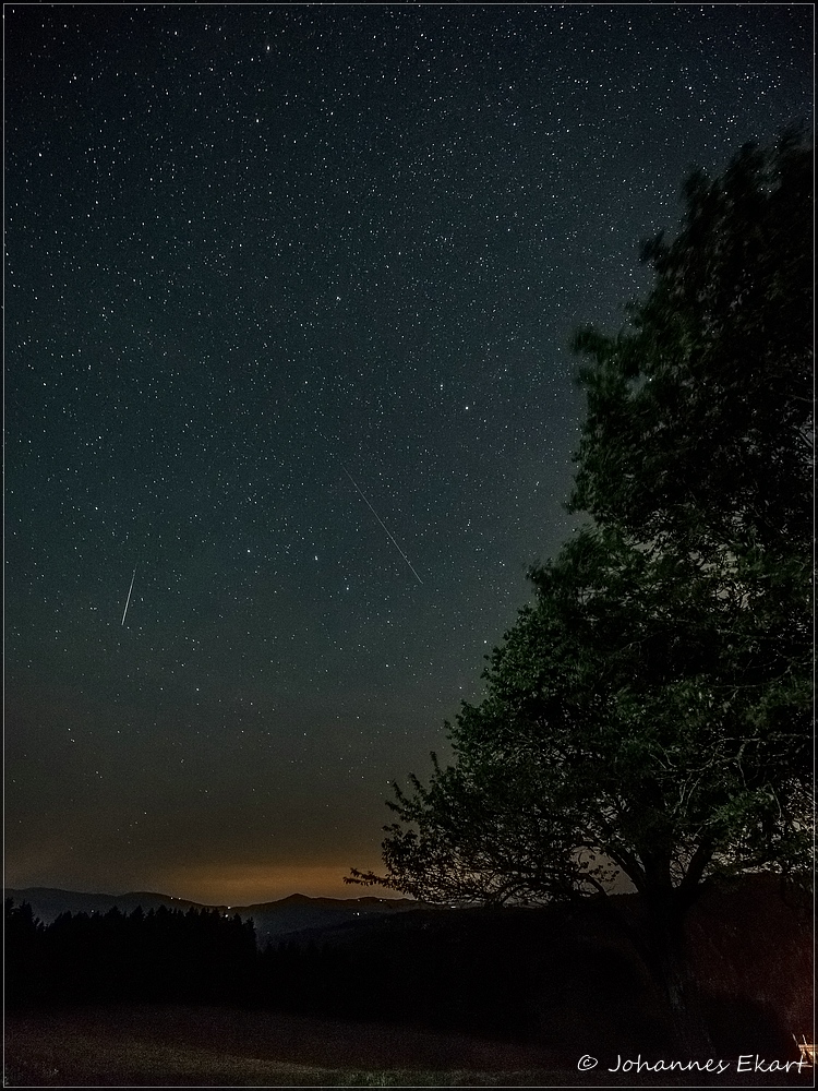 Der Zauber einer Sommernacht mit Sternschnuppen