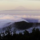 Der Zauber Gomeras -  La Magia de La Gomera