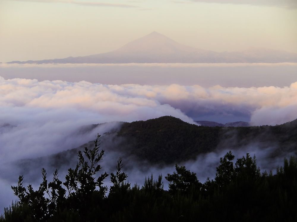 Der Zauber Gomeras -  La Magia de La Gomera