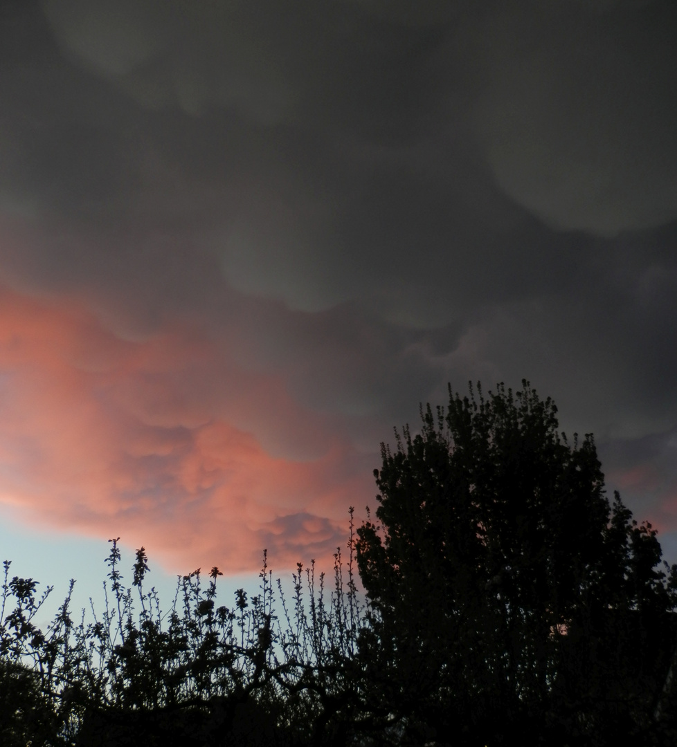 Der Zauber ist gleich vorbei und eine graue Wolkenfront überzieht den Himmel