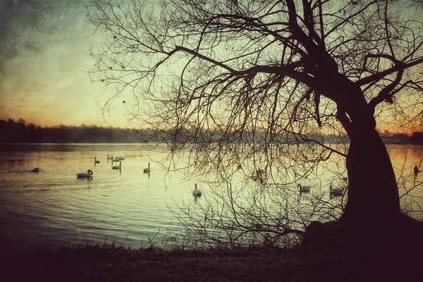+++DER ZAUBER VOR DEM SONNENAUFGANG+++