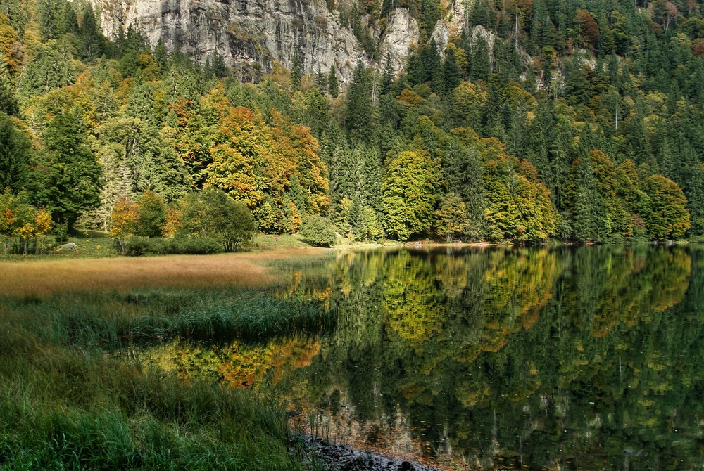 Der zauberhafte Feldsee...