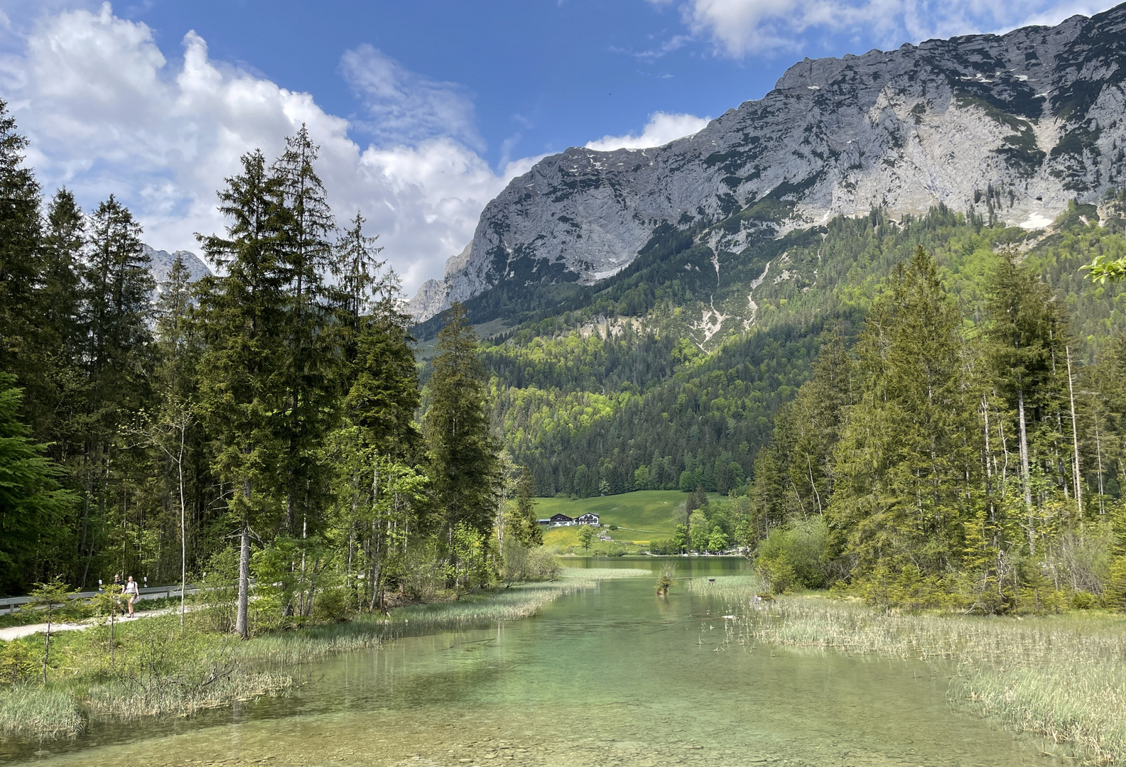 Der Zauberwald lichtet sich - am Hintersee