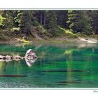 Der Zauberwaldsee