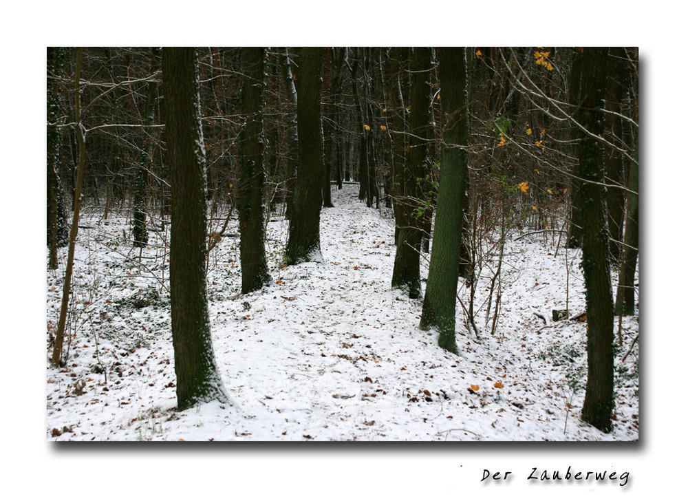 Der Zauberweg