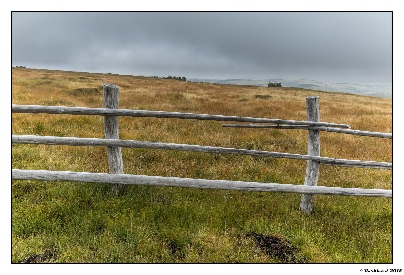 Der Zaun im Hochmoor