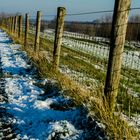 Der Zaun im Schnee