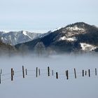 Der Zaun - Staffage oder Hauptmotiv ?