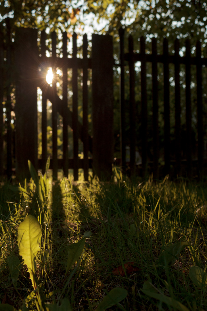 Der Zaun.. | ..The Fence