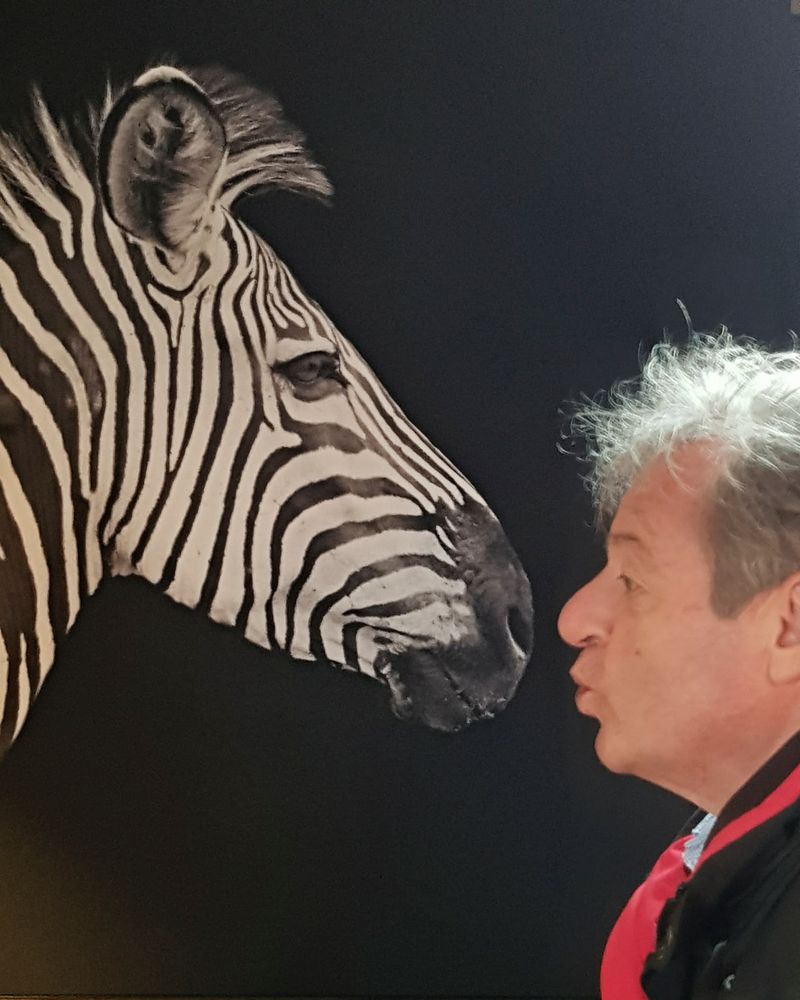 Der Zebraflüsterer