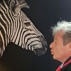 Der Zebraflüsterer