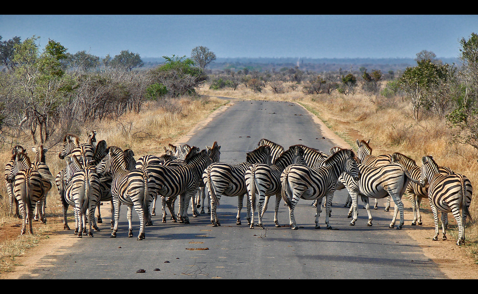 Der Zebrastreifen...