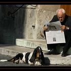 Der Zeitungsleser und sein Hund