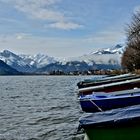 Der Zeller See im Pinzgau hat schon seit langer Zeit das lebhafte Interesse naturbegeisterter