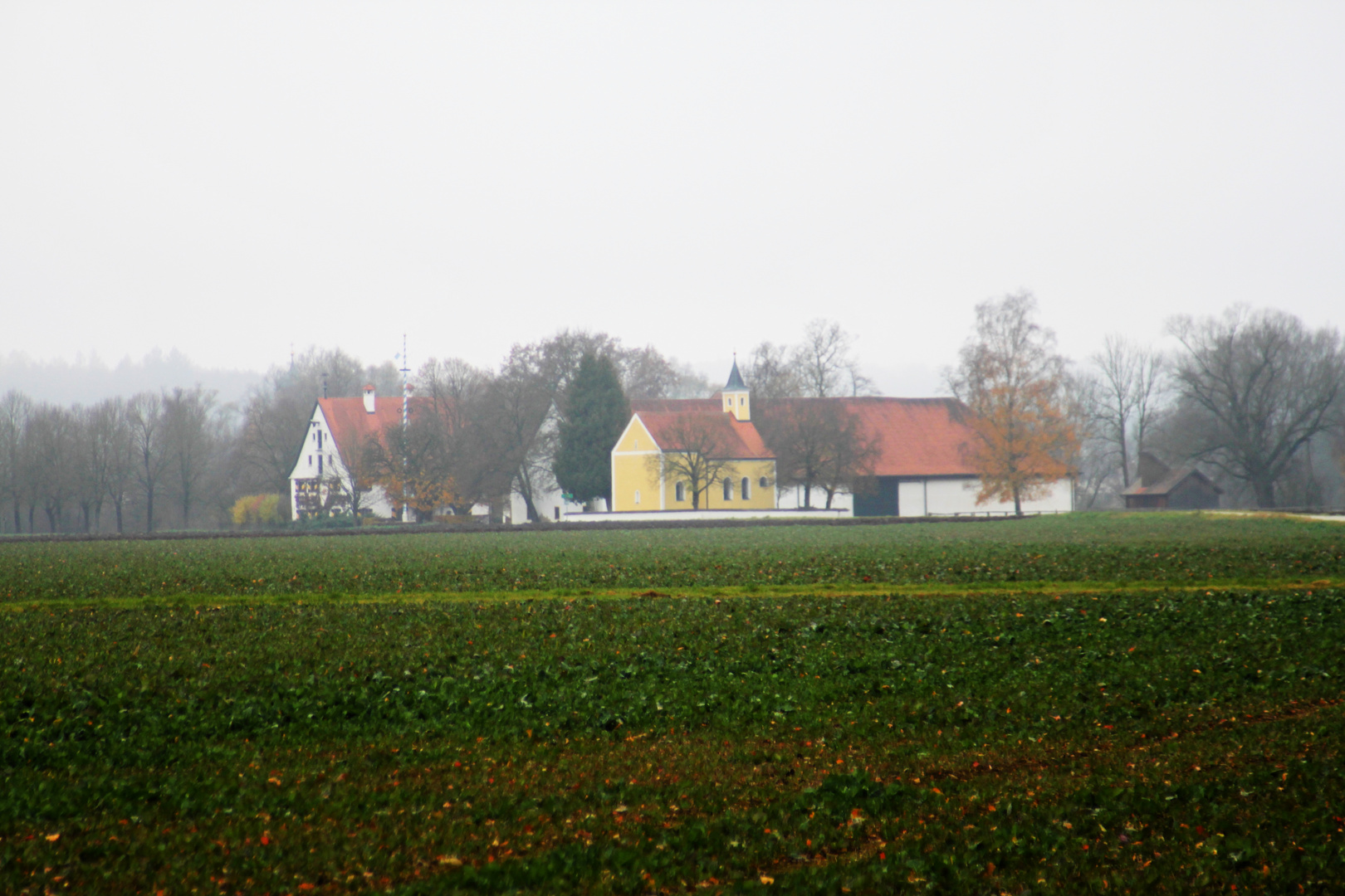 Der Zellhof bei Schöngeising