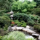 Der Zen Garten im Stadtgarten Karlsruhe