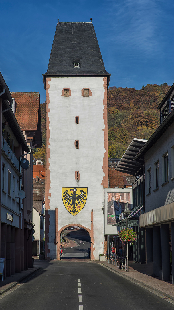 Der Ziegelturm in Gelnhausen