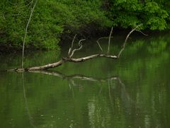 Der Ziegelweiher in Erkelenz