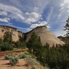 Der Zion Nationalpark in Utah....