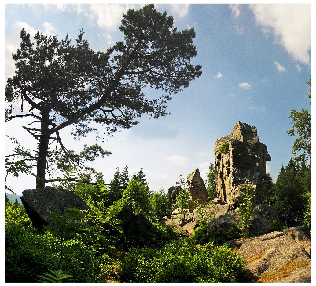 Der Zipfeltannenfelsen im Steinwald