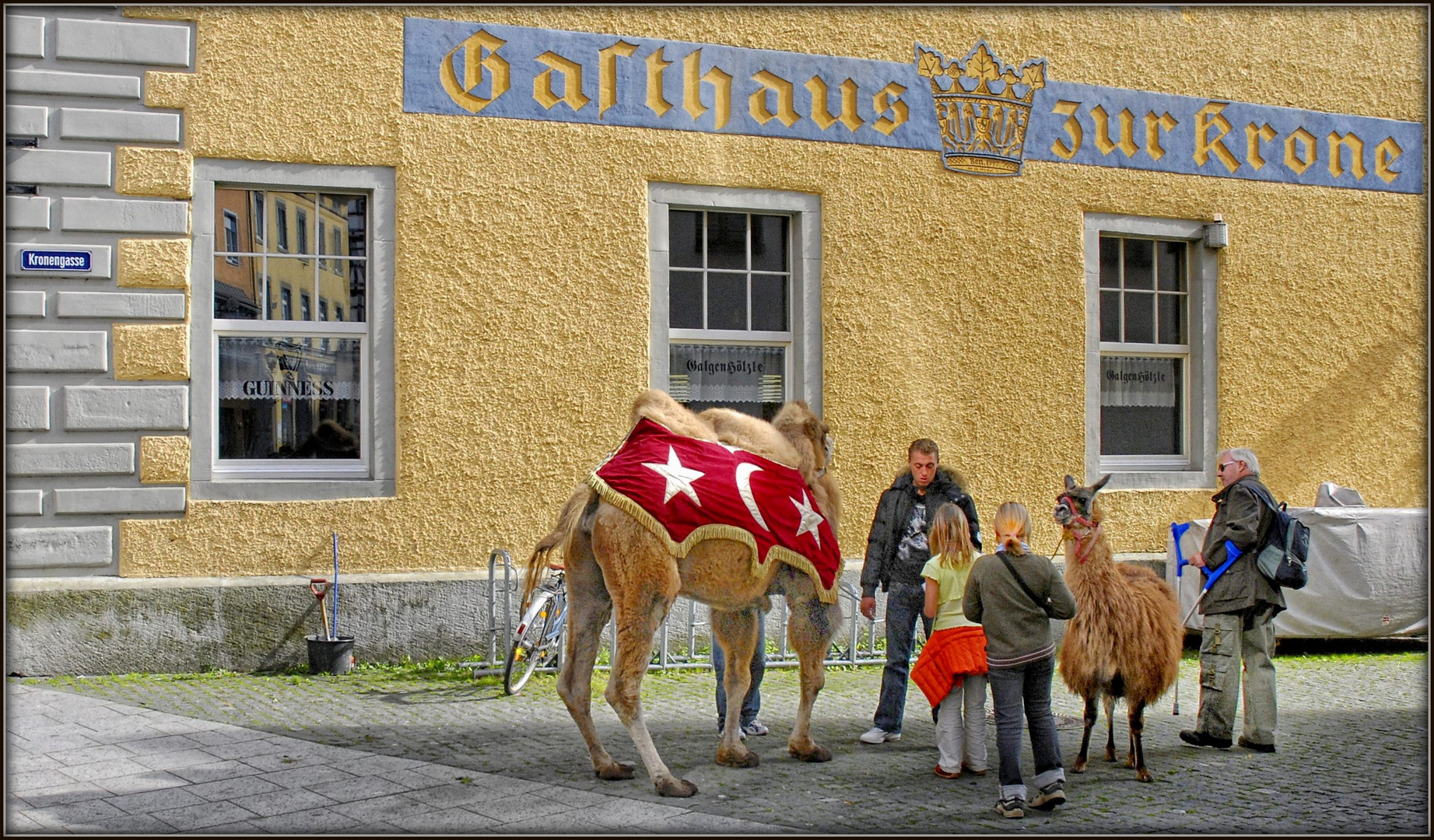 Der Zirkus ist in der Stadt!!