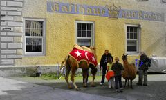 Der Zirkus ist wieder in der Stadt