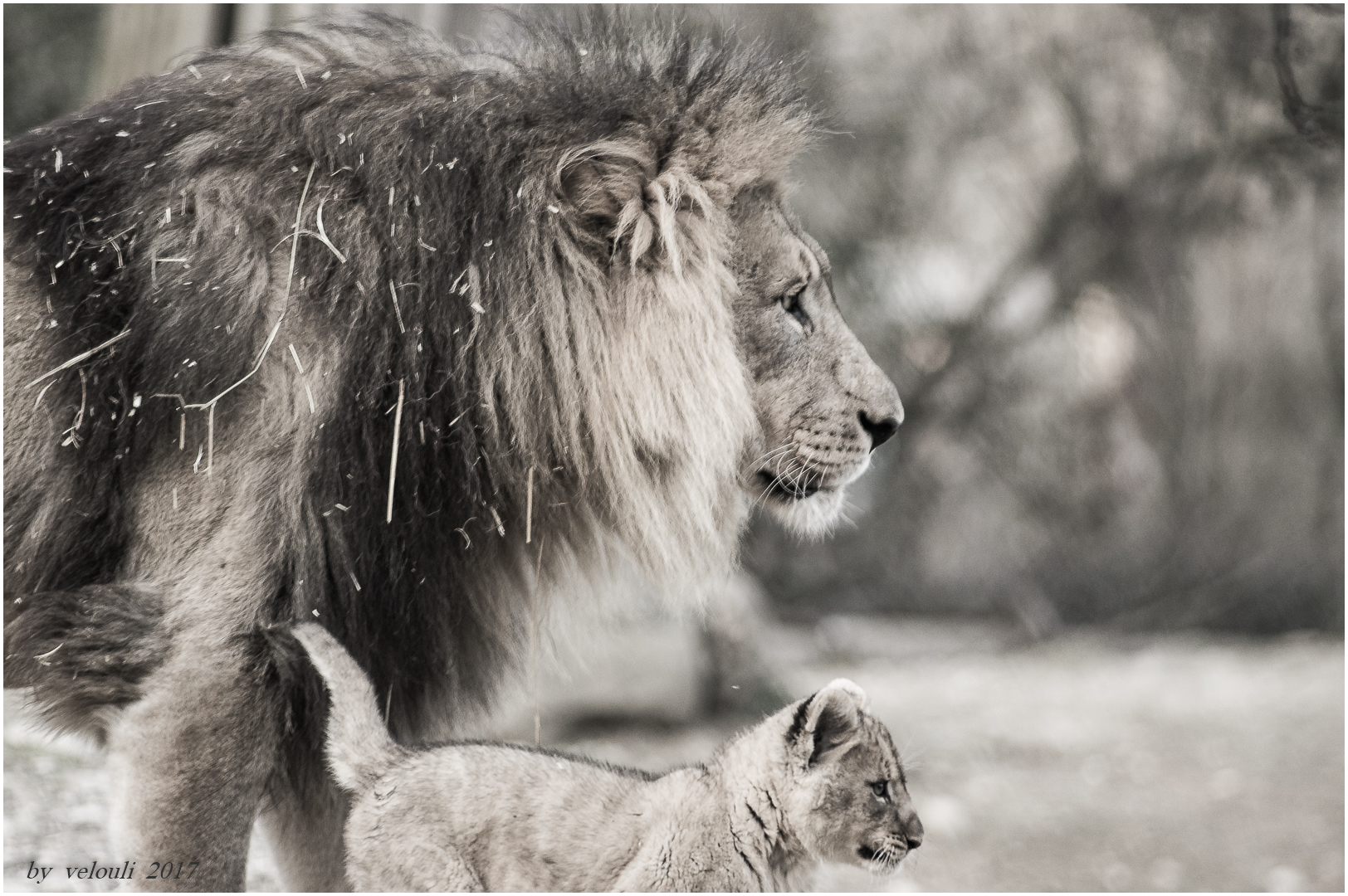 Der Zoo hat Nachwuchs