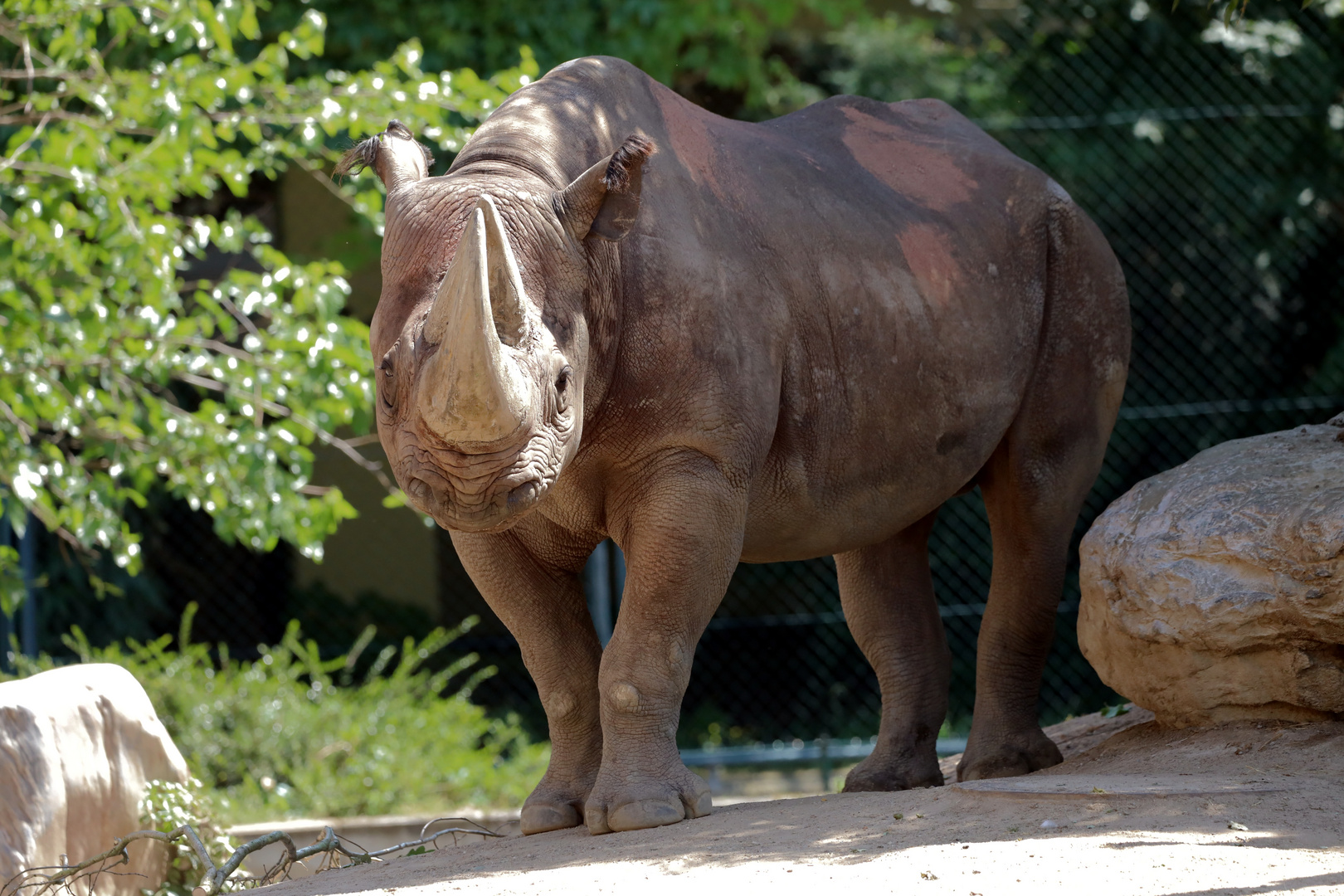 der Zoo ist...